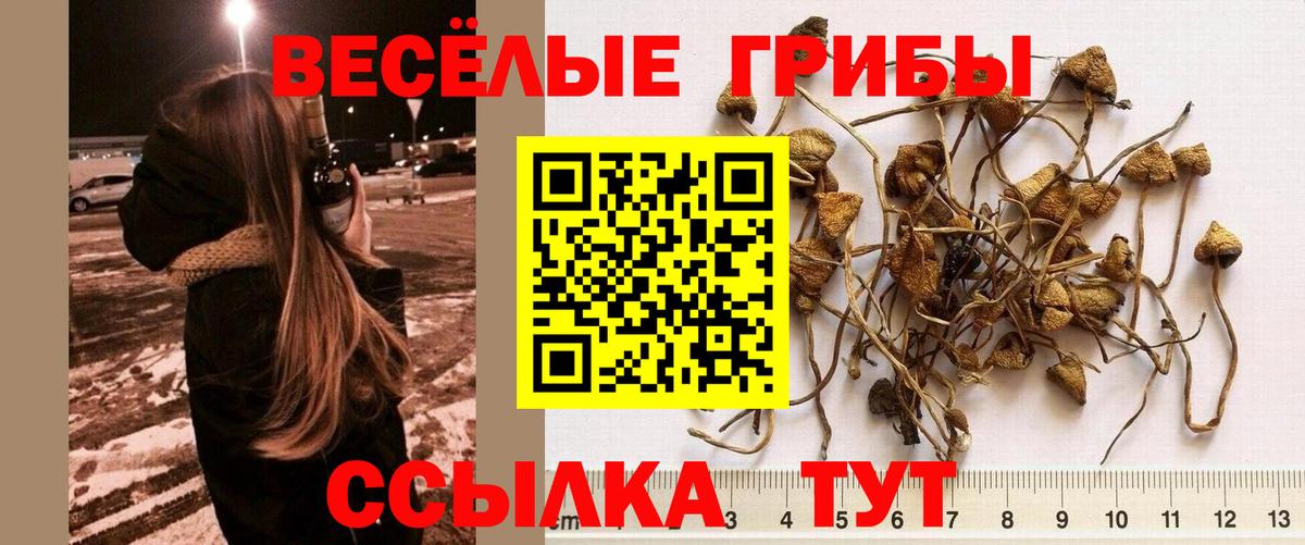 Галлюциногенные грибы мухоморы Саянск